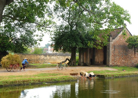 Tours of rural Vietnam - ảnh 2